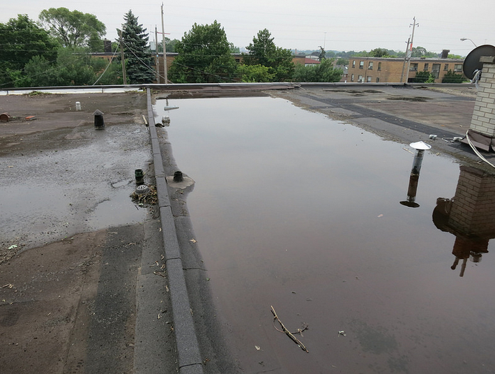Toronto-Roofing-Dirty-Drain-Pooling-Flat-Roof