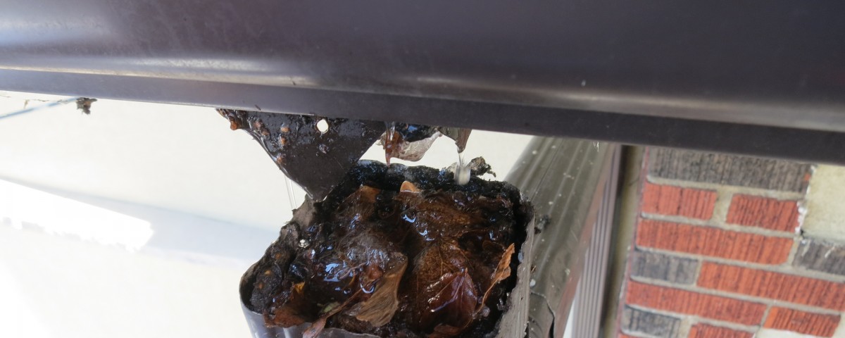 Toronto Roofing Gutters Downspout Blockage