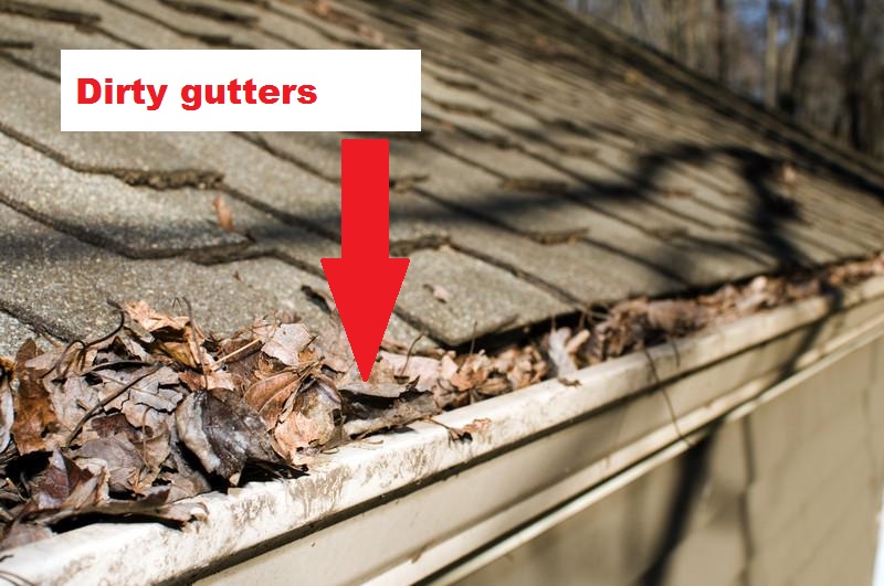 Toronto Roofing Dirty Eaves Gutters Roof cleaning asphalt shingle copper slate cedar flat heritage cabbagetown forest hill annex rosedale