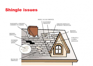 Toronto Roofing Asphalt Shingle Damage Issues Roof asphalt shingle copper slate cedar flat roof heritage cabbagetown forest hill annex rosedale